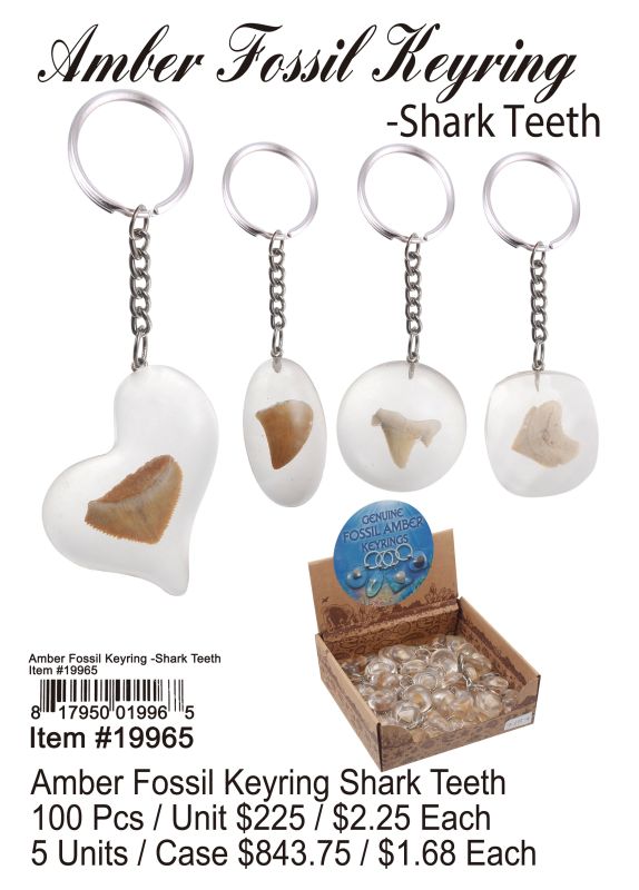 Amber Fossil Keyring Shark Teeth - 100 Pieces Unit