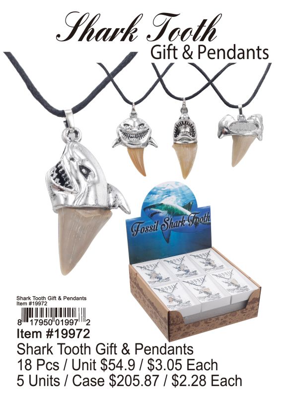 Shark Tooth Gift & Pendants - 18 Pieces Unit