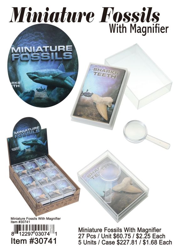 Ministure Fossil With Magnifier - 27 Pieces Unit
