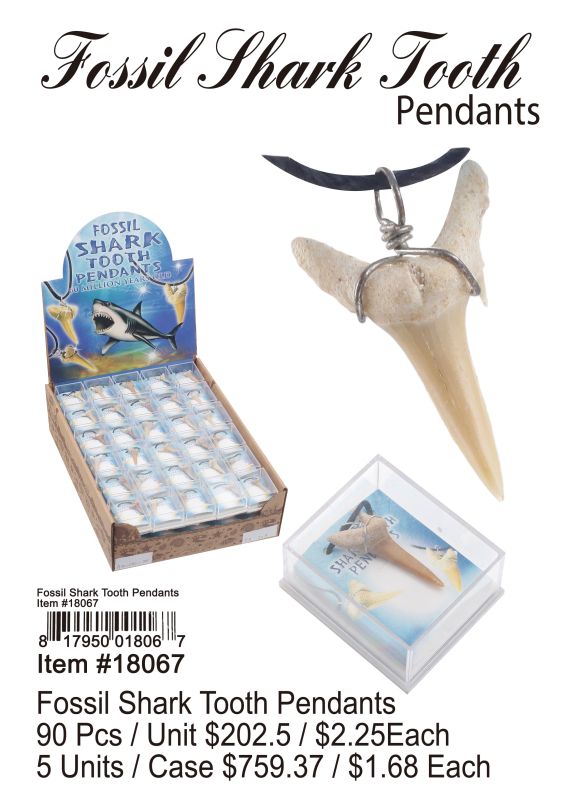 Fossil Shark Tooth Pendants - 90 Pieces Unit